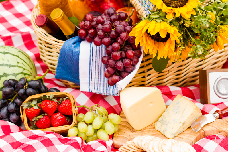 Napa Valley Picnic